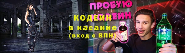 крисы Новозыбков