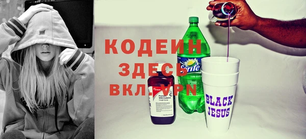 индика Новодвинск