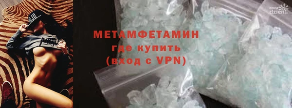 индика Новодвинск