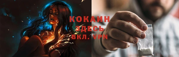 индика Новодвинск