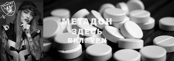 индика Новодвинск