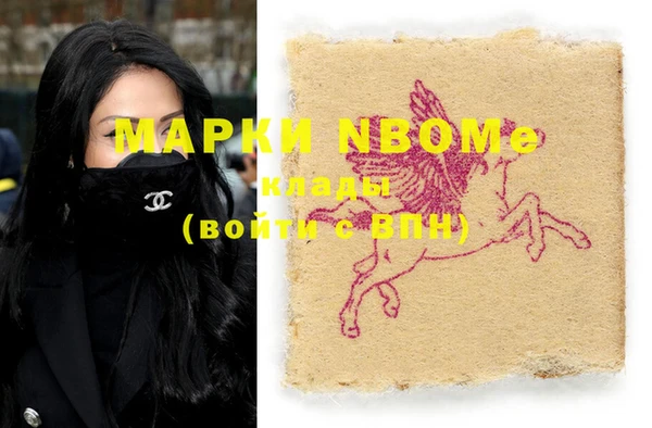 крисы Новозыбков
