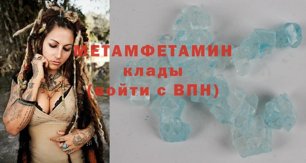 крисы Новозыбков