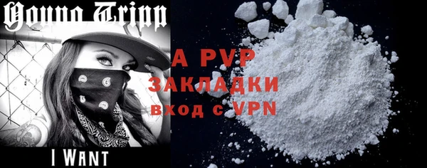 индика Новодвинск