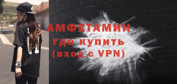 индика Новодвинск