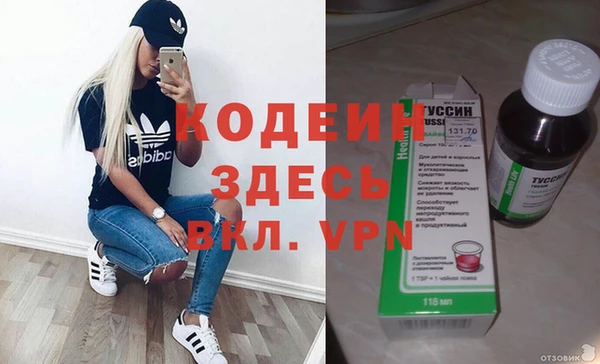 индика Новодвинск